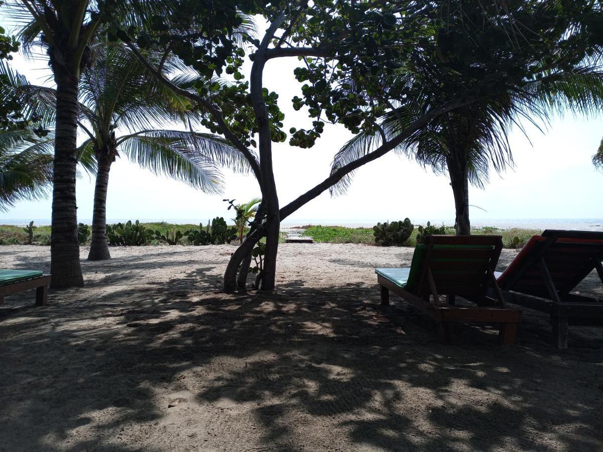 Casa Palma Beach House Brisas de Zicatela Zewnętrze zdjęcie